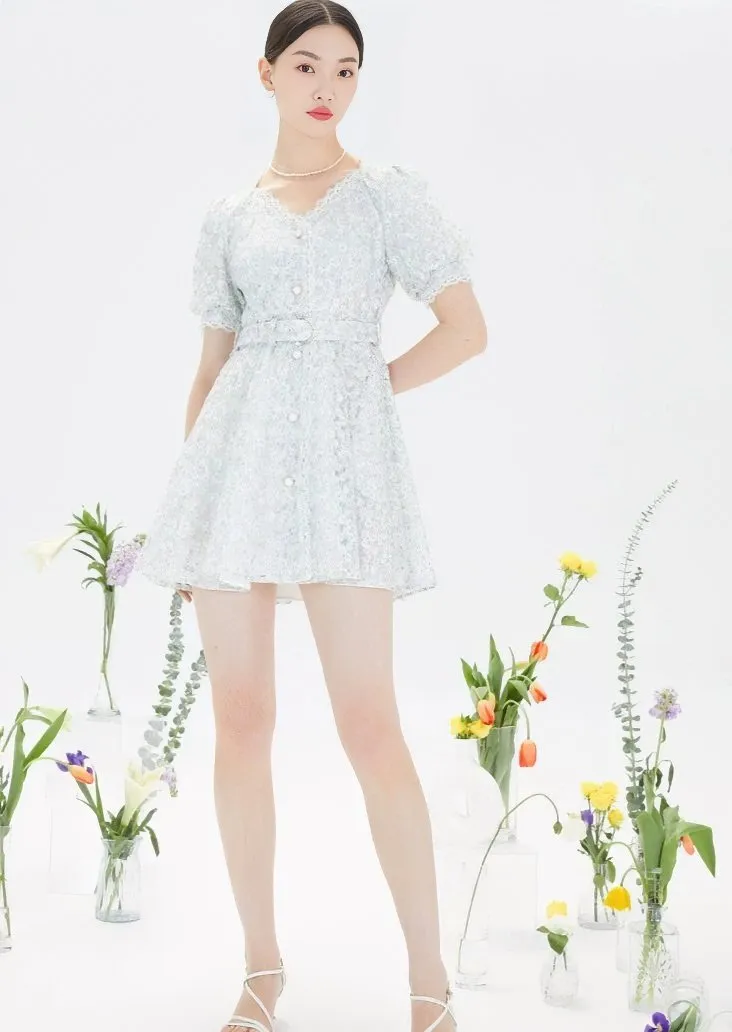 PUFF SLEEVE FRENCH DIT DRESS