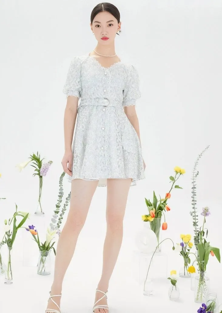 PUFF SLEEVE FRENCH DIT DRESS